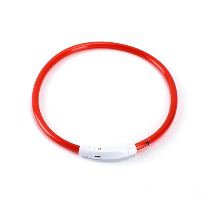 Adjustable LED Dog Collar - USB Rechargeable