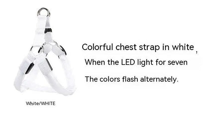 Adjustable LED Dog Harness for Night Safety