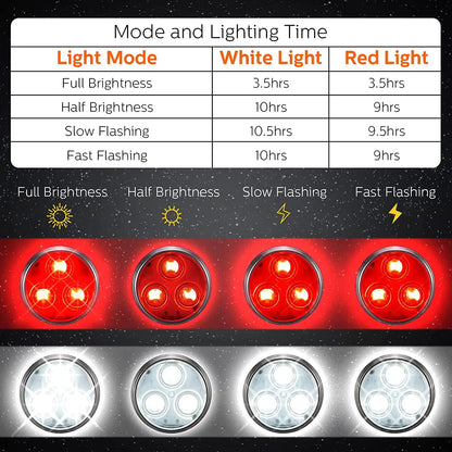 LED Dog Lamp Flashlight for Night Safety