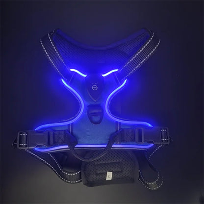 LED Glowing Dog Harness for Nighttime Walks