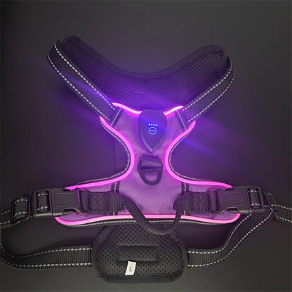 LED Glowing Dog Harness for Nighttime Walks