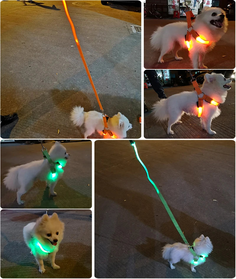 Adjustable LED Dog Harness for Night Safety